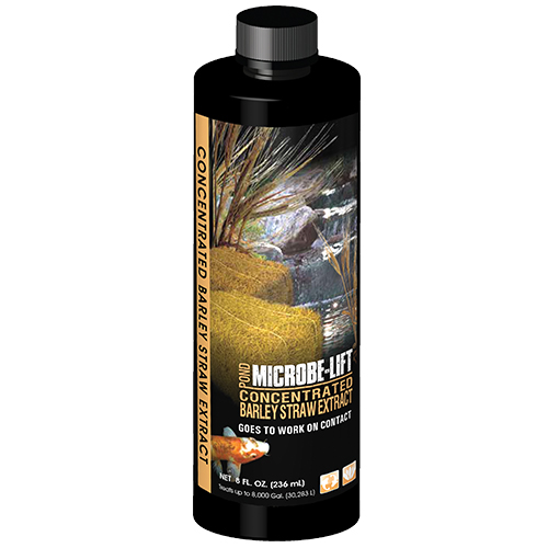 Microbe-Lift Barley Straw Extract - 8 oz.