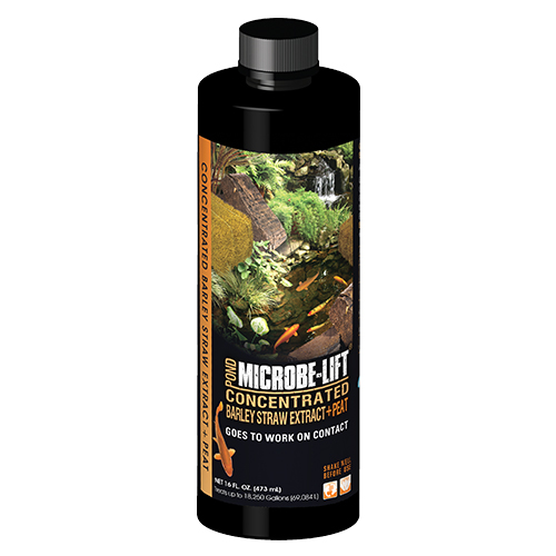 Microbe-Lift Concentrated Barley Straw Extract Plus Peat - 16 oz.