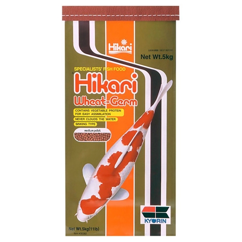 Hikari Wheat Germ Koi Fish Food (Sinking) - 11 lbs. (Medium Pellets)