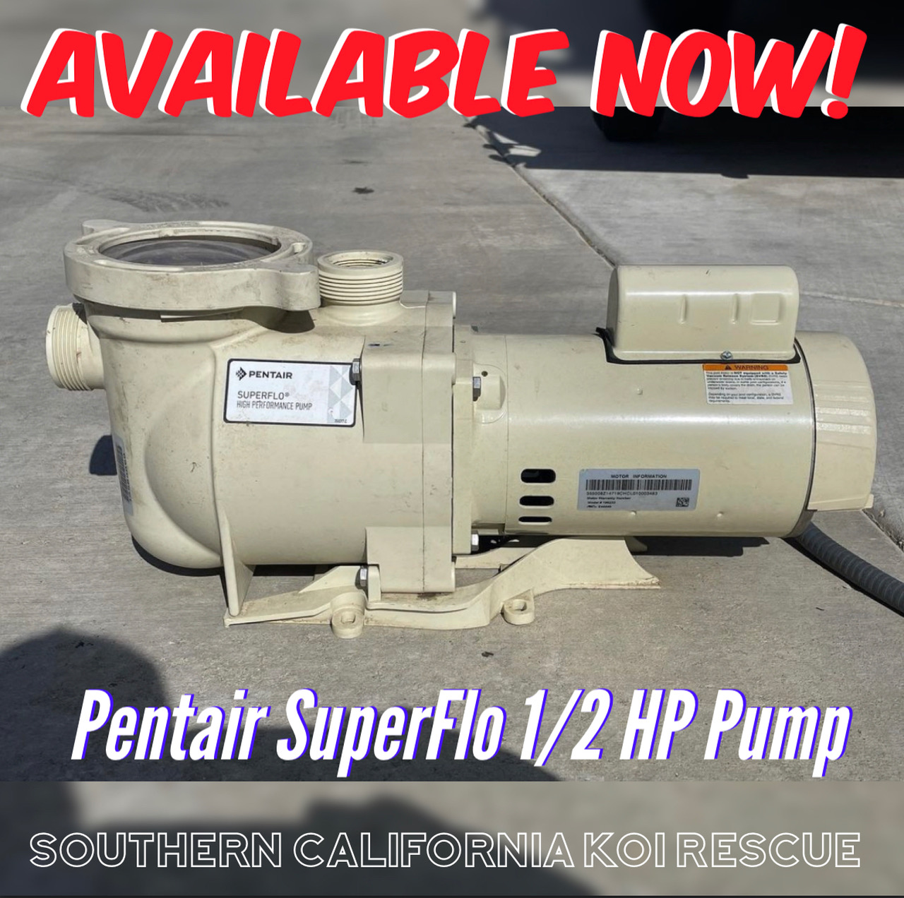Pentair SuperFlo 1/2 HP Pump - 220V (Used)