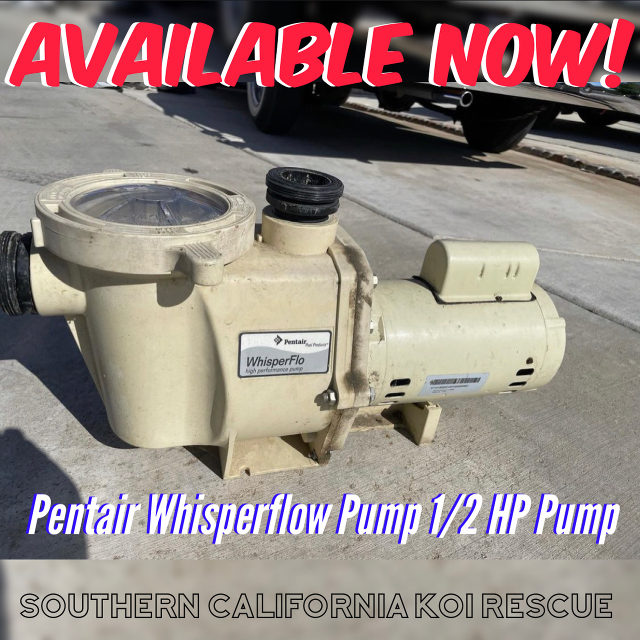 Pentair WhisperFlo 1/2 HP Pump - 220V (Used)