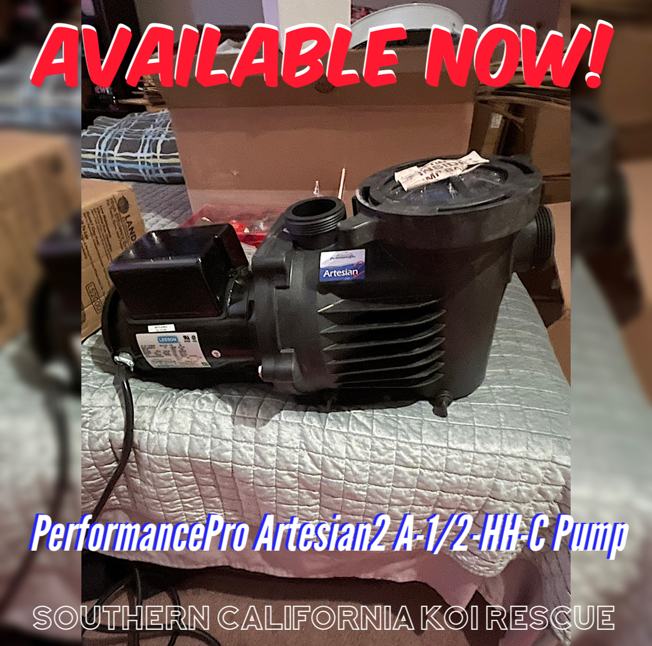 PerformancePro Artesian2 A-1/2-HH-C Pump (New)