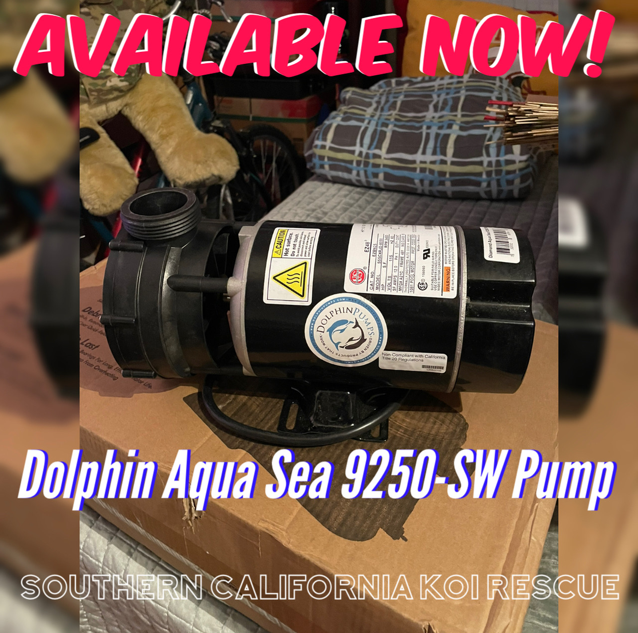 Dolphin Aqua Sea 9250 Pump w/Salt Water Seals (New)