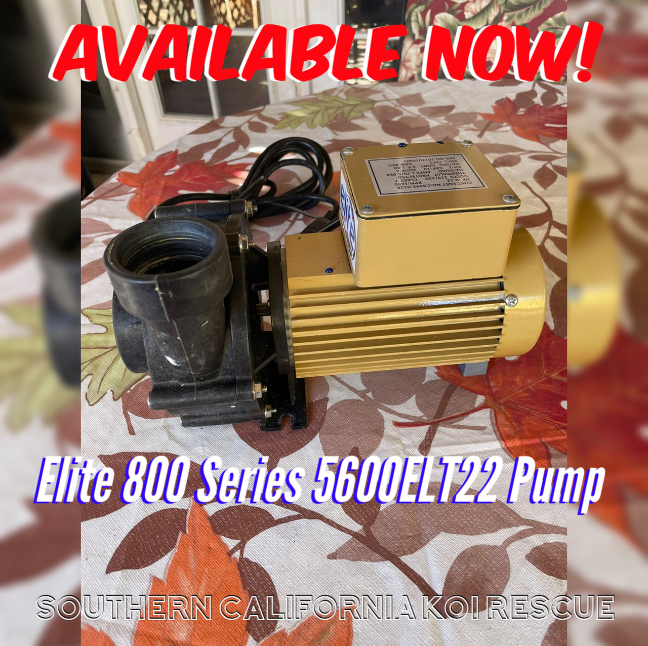 Elite 800 Platinum Series 5600 GPH 1/10 HP External Pump (New)