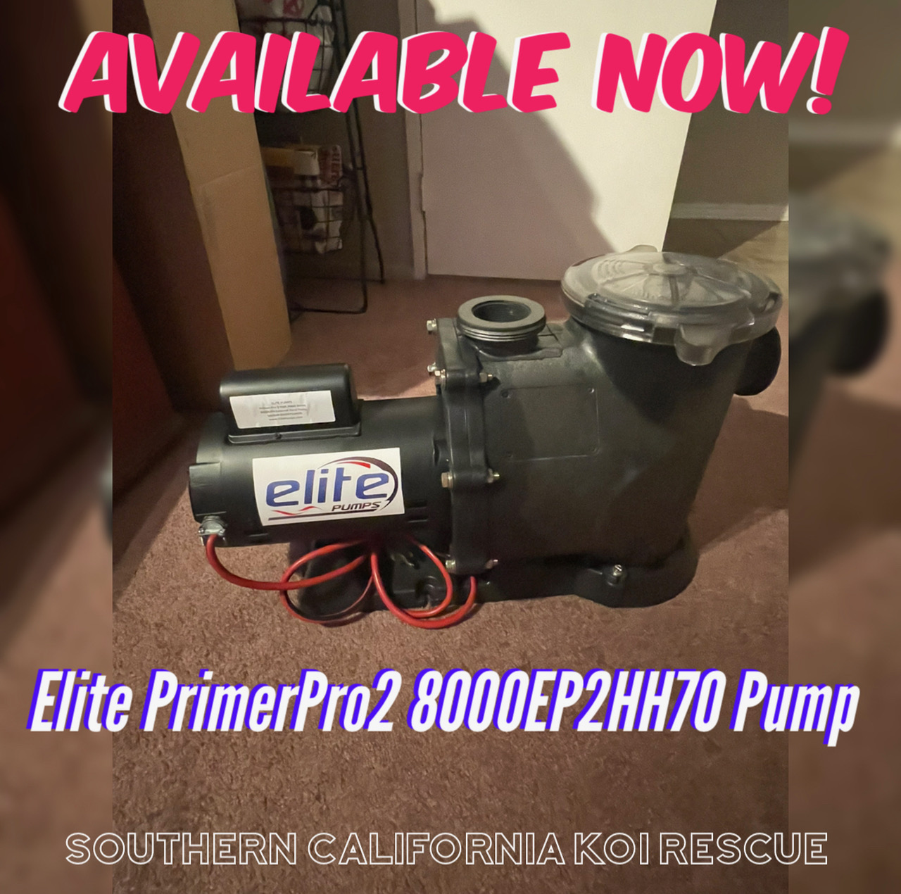 Elite PrimerPro2 8000 GPH High Head Pump (New)