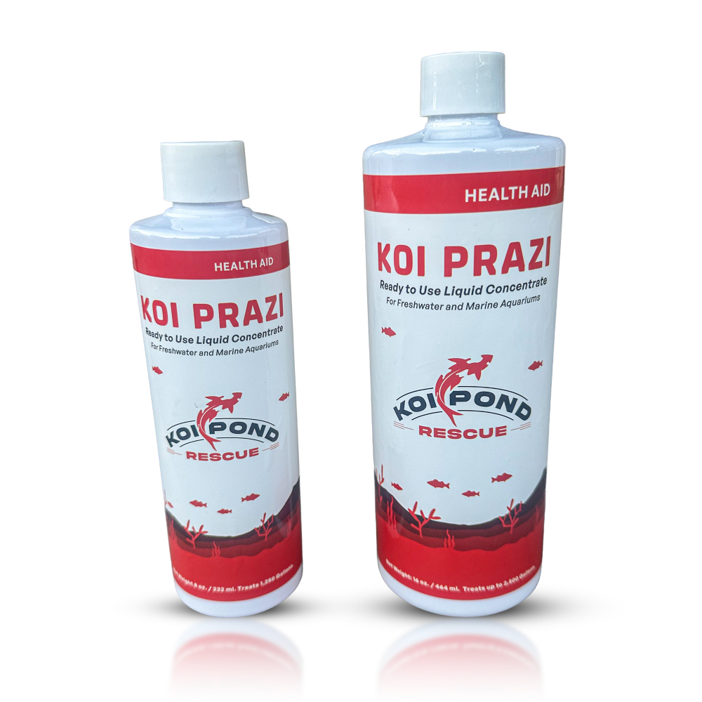 KOI PRAZI LIQUID Fluke Destroyer