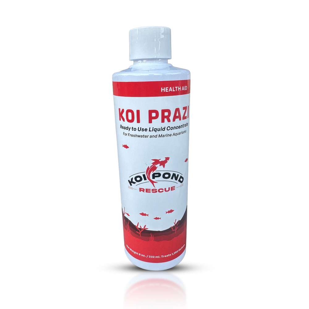 KOI PRAZI LIQUID Fluke Destroyer Liquid Concentrate - 8 oz.
