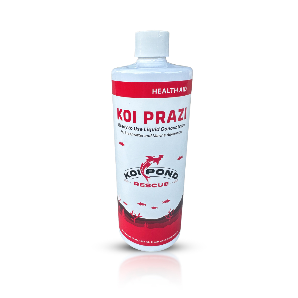 KOI PRAZI LIQUID Fluke Destroyer Liquid Concentrate - 16 oz.